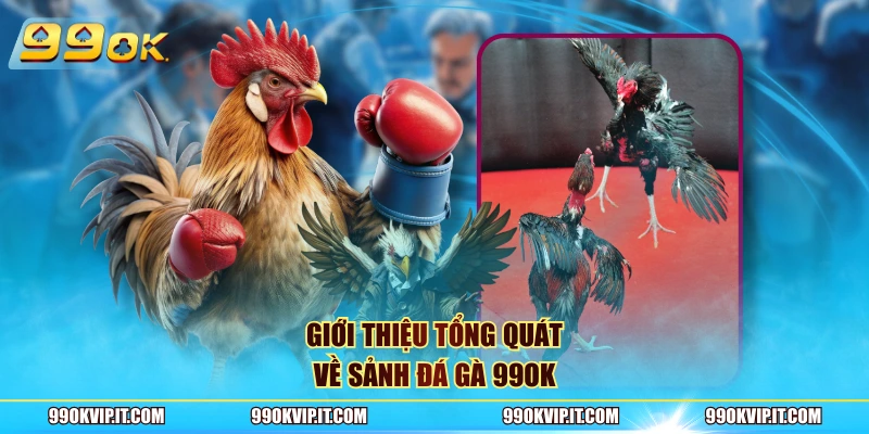 Giới thiệu tổng quát về sảnh đá gà 99OK